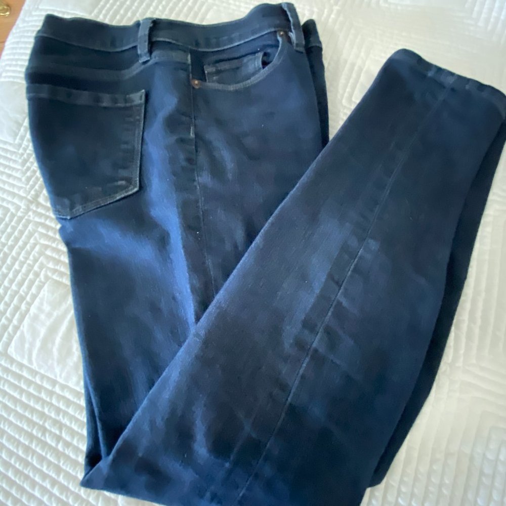 EUC~Ann Taylor Loft Modern Skinny Blue Jeans~6
